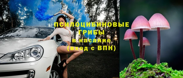 дмт Нягань