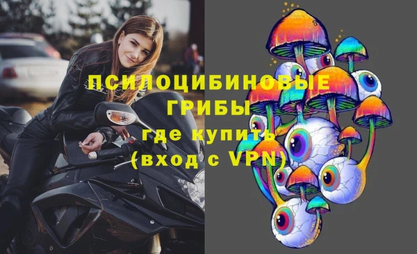 дмт Нягань