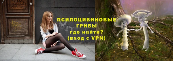а пвп мука Осташков