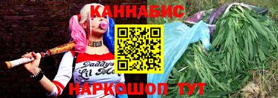шишки Гатчина