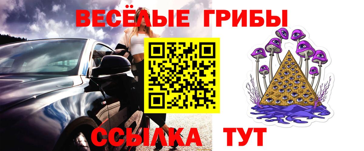 Псилоцибиновые грибы Psilocybe  Вход с VPN  Лянтор 