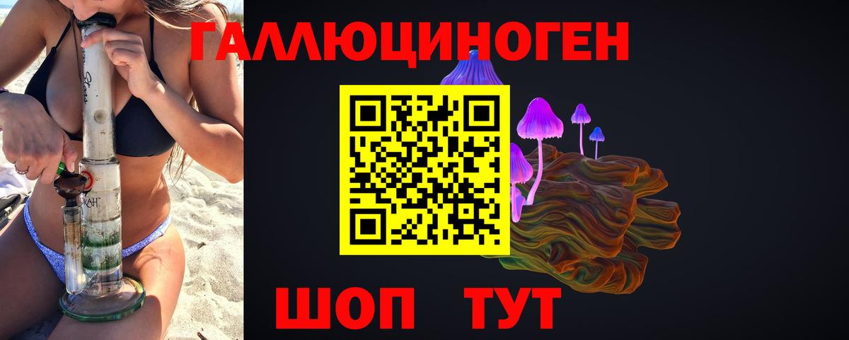 Галлюциногенные грибы Psilocybine cubensis Лянтор